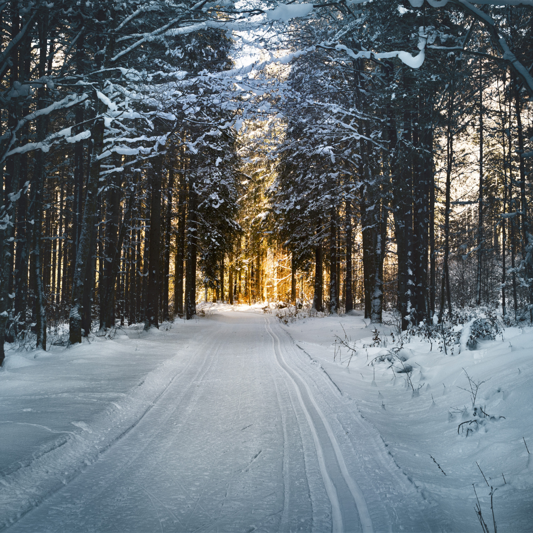 Help Beat The Winter Blues