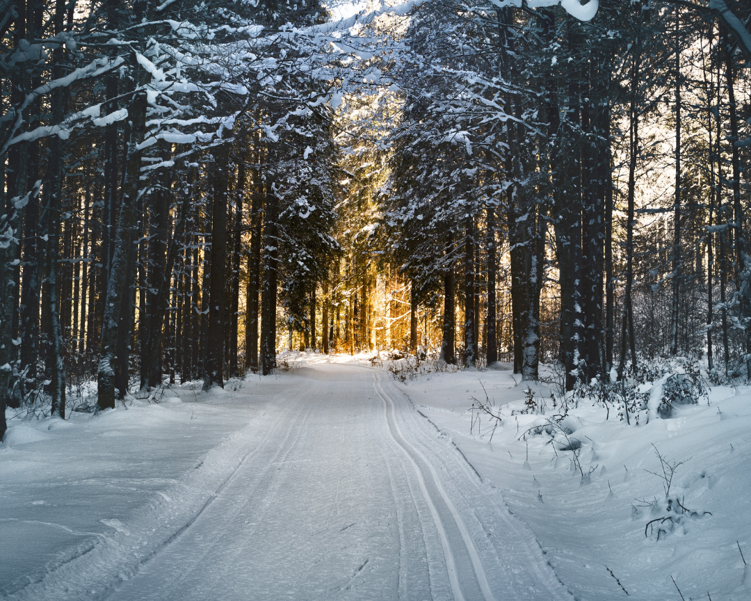 Help Beat The Winter Blues