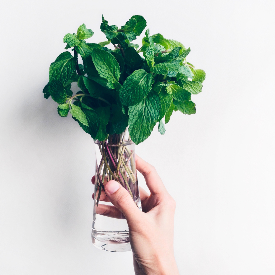 The Power of Peppermint