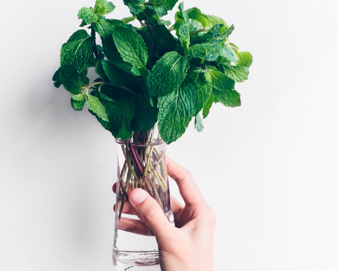 The Power of Peppermint