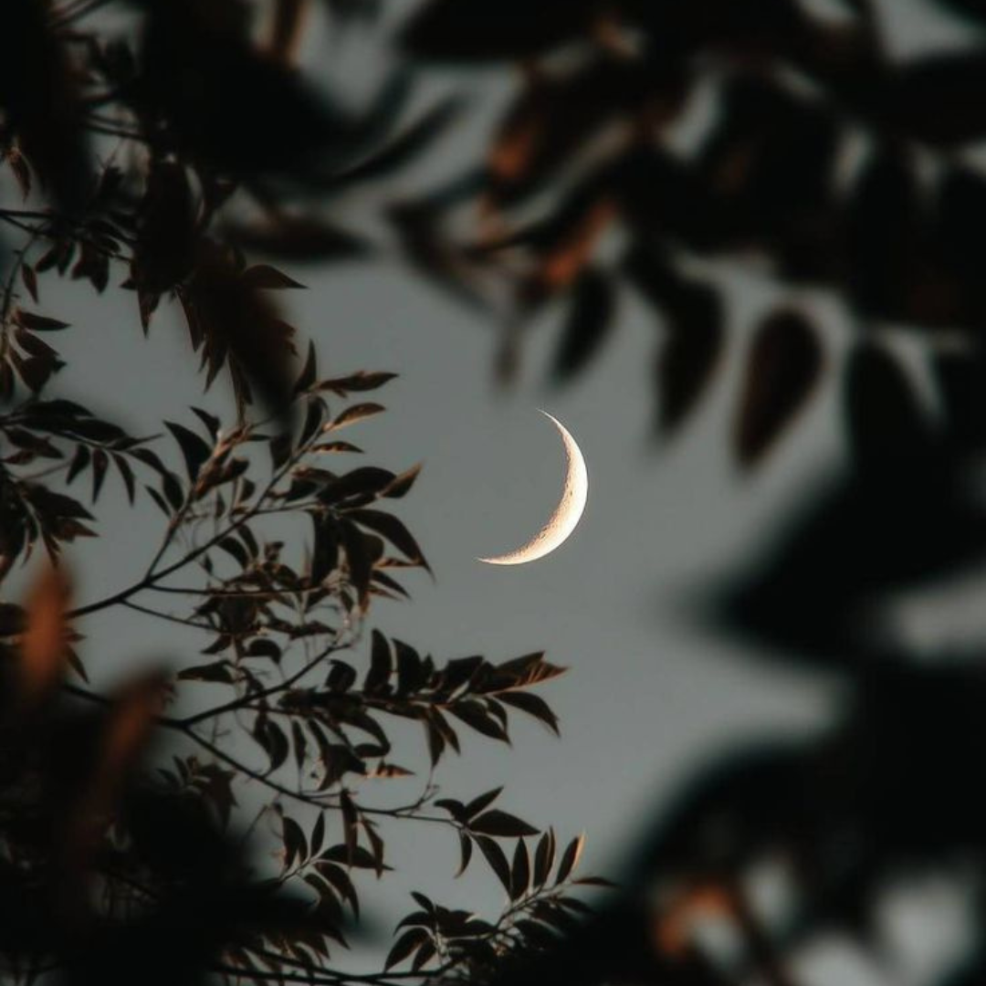 Morning and Evening Rituals