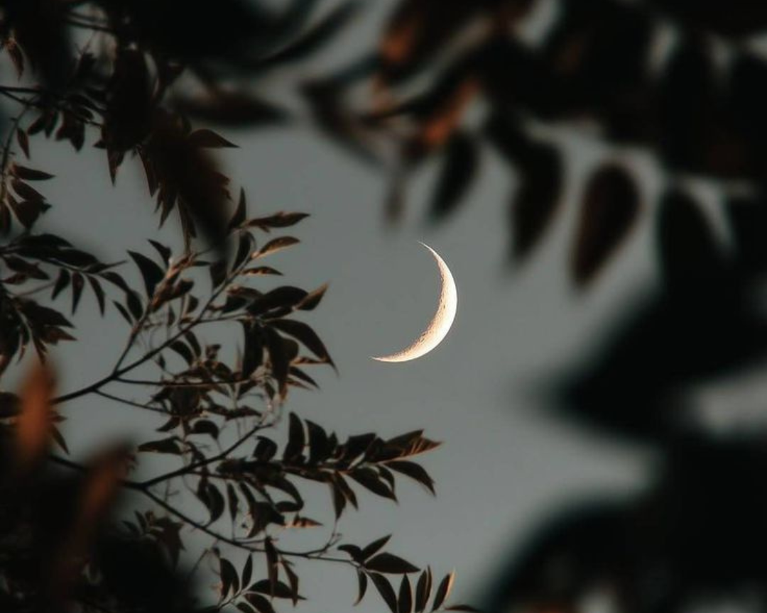 Morning and Evening Rituals