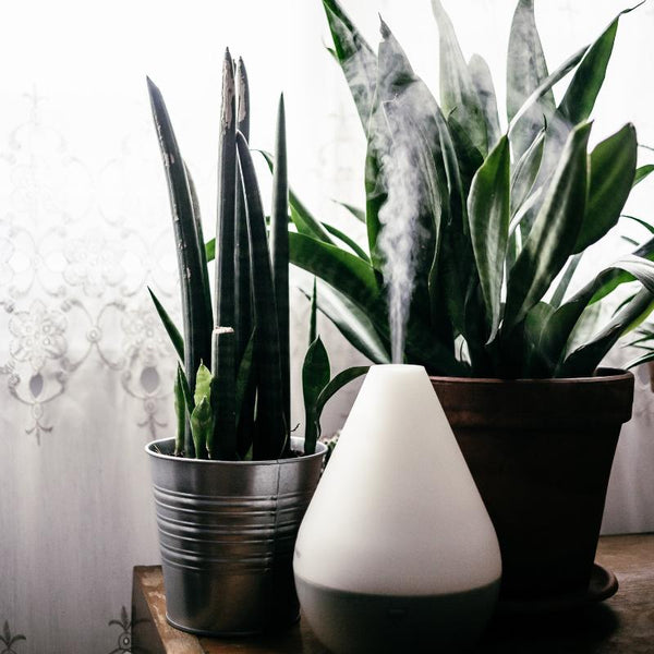 Wellness at Home