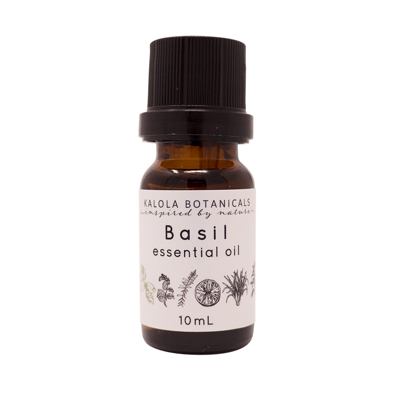 Basil Essential Oil